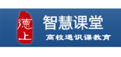 上海德上网络科技